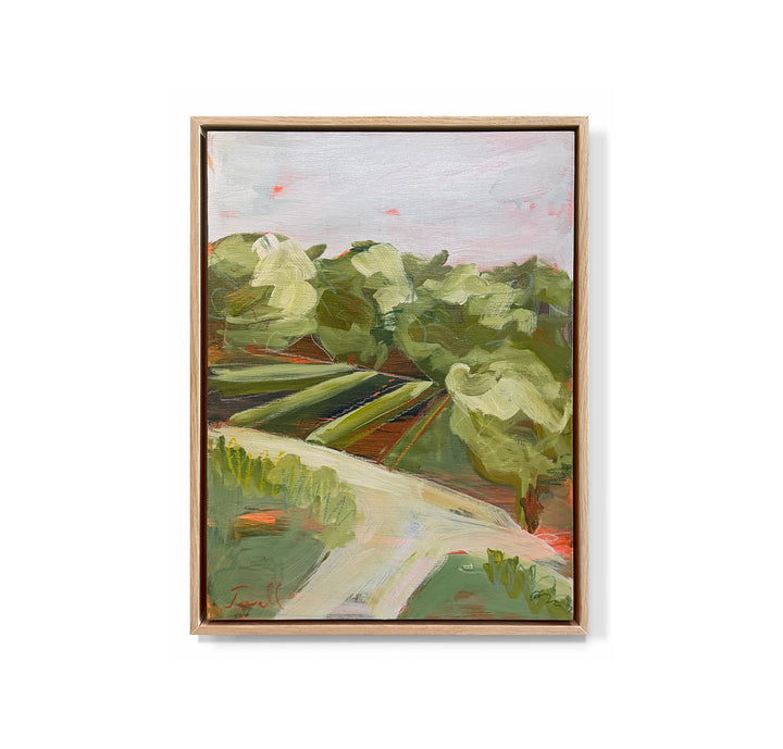 "Olivos"