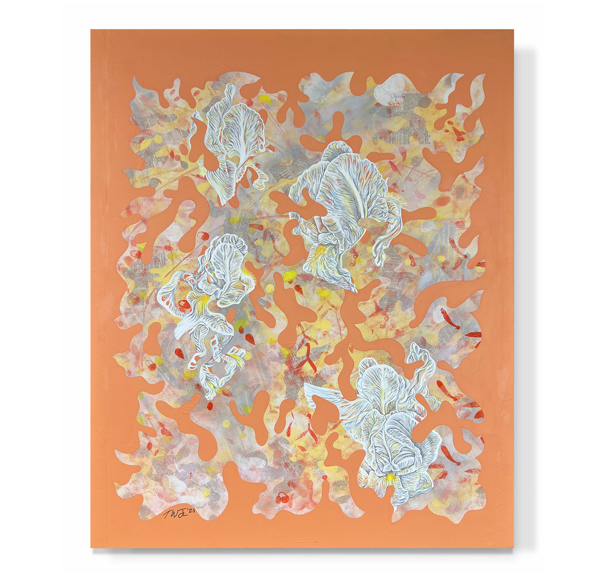 "Camofleur 3 (Iris Albicans)"