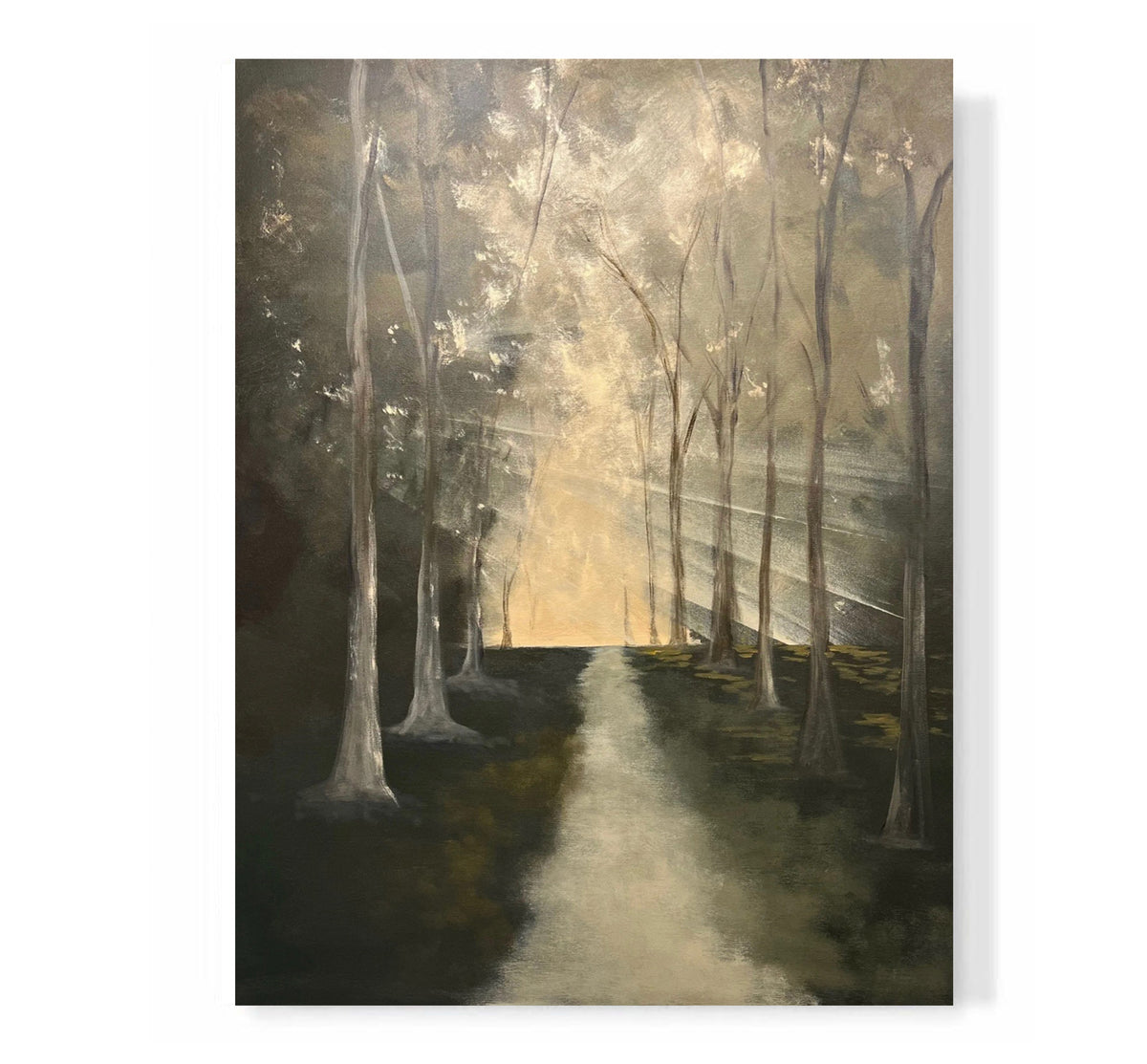 "A Light Unto My Path"