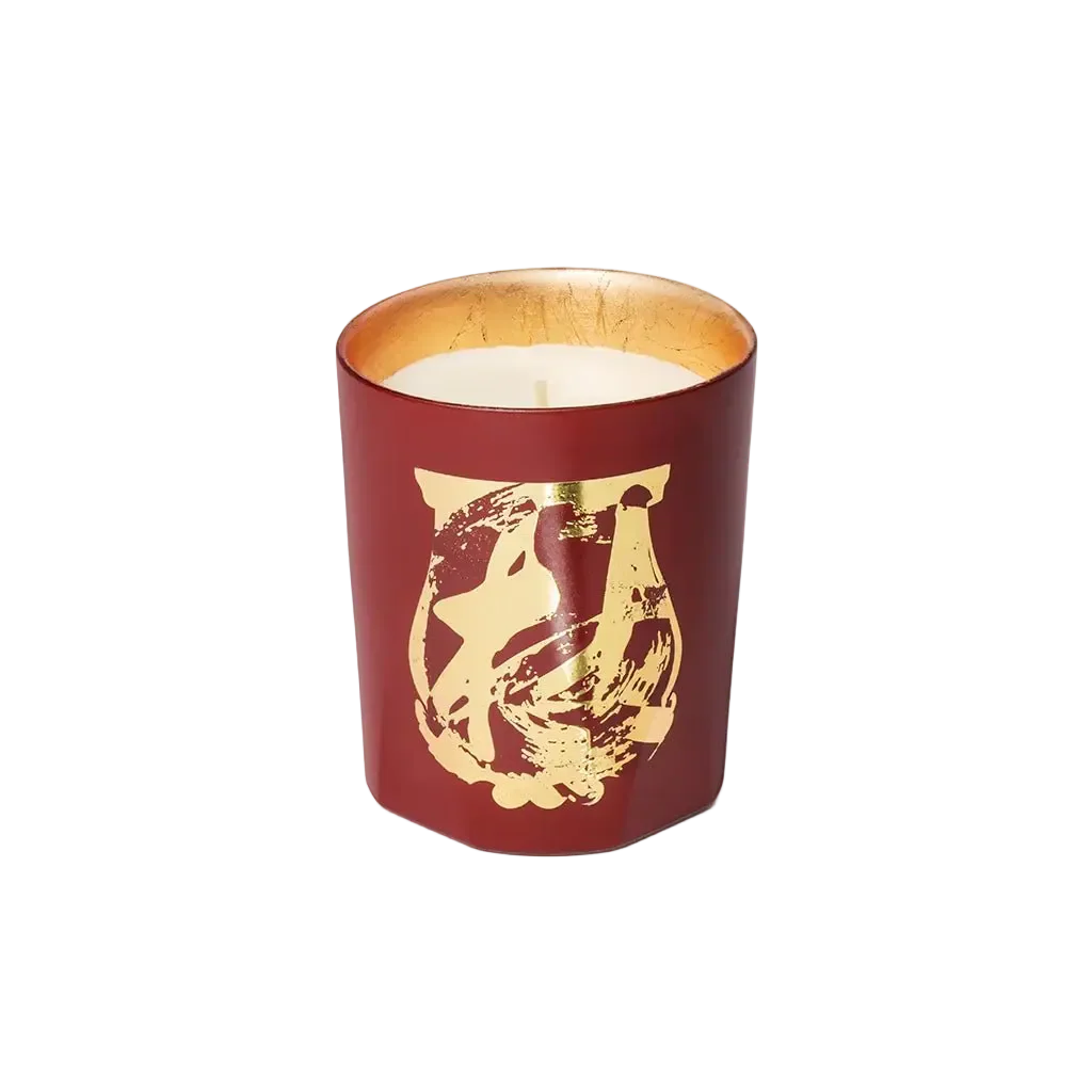 Trudon Terre à Terre Classic Candle