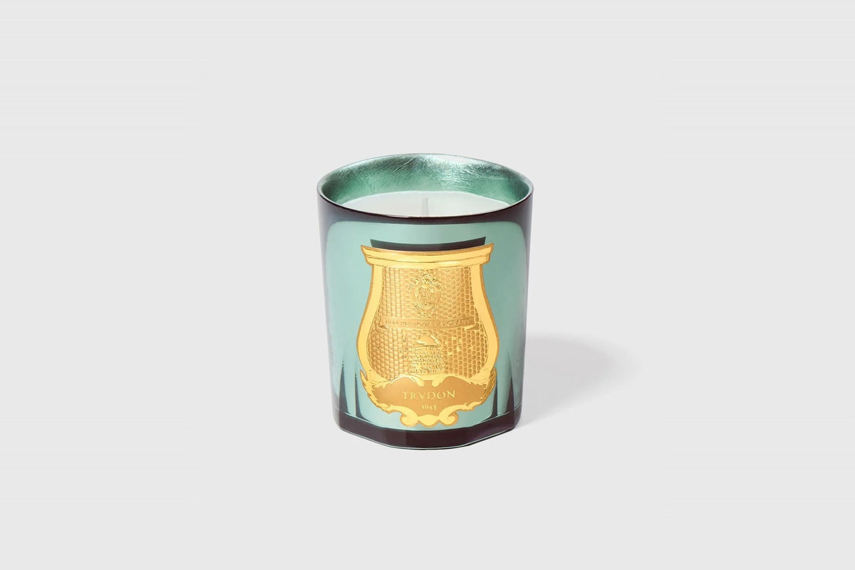 Trudon Fir Classic Candle