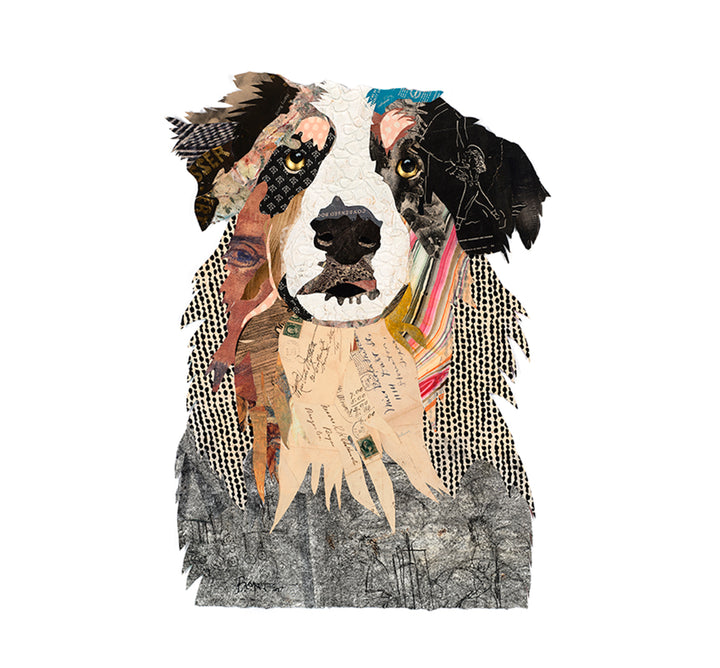 "Australian Shepard" Archival Print