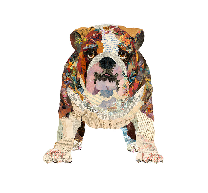 "Bulldog 1" Archival Print