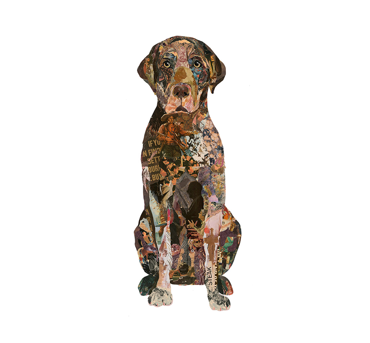 "Jake - Chocolate Lab" Archival Print