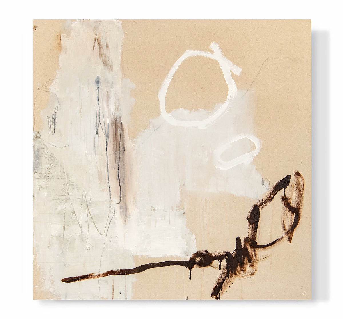 "Driftwood & Sand Dollar #1"
