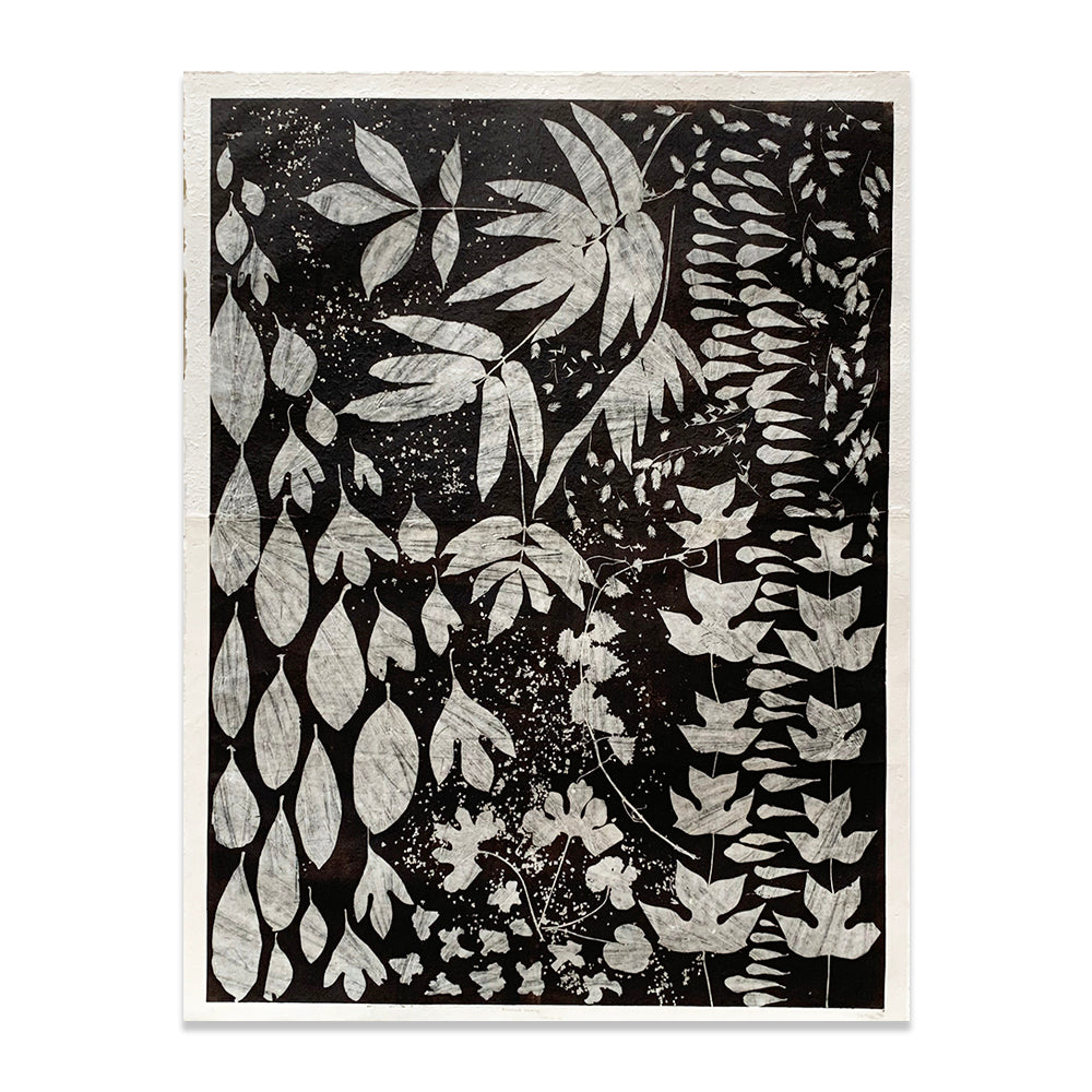 "Bloodroot Seeking"
