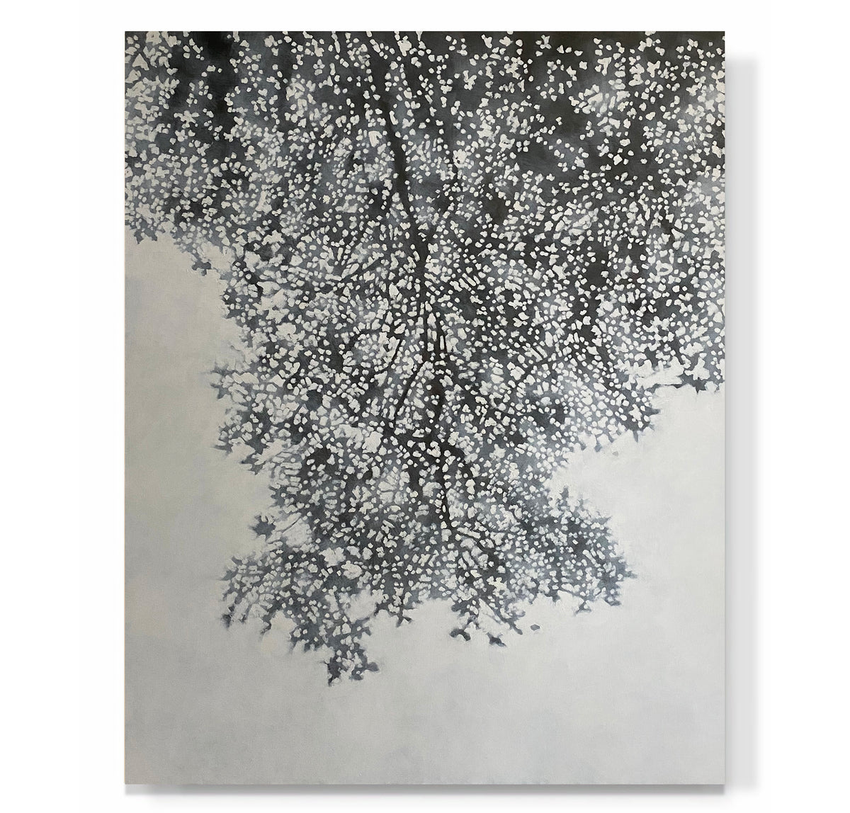 "Grey Canopy"