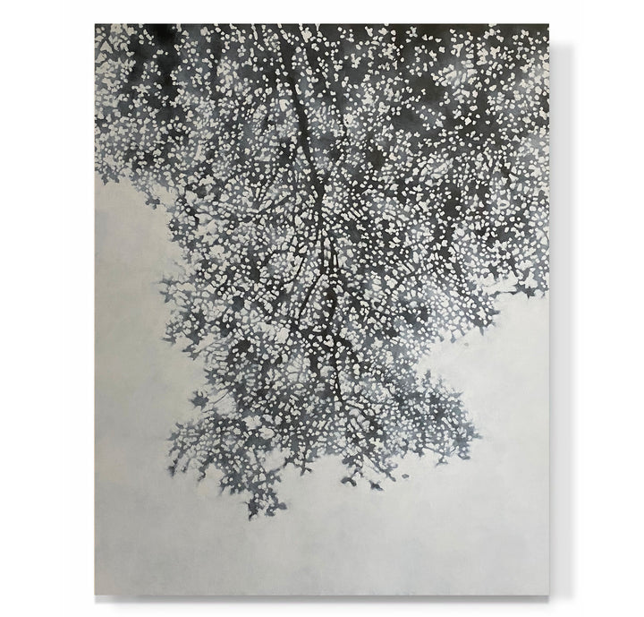 "Grey Canopy"