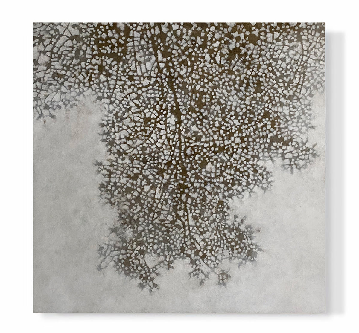"Autumn Silhouette"