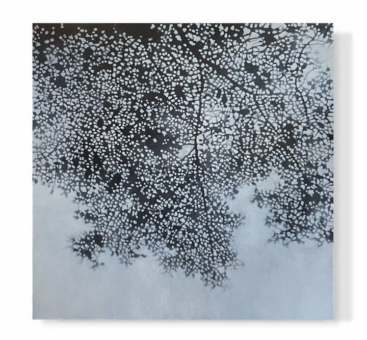 "Canopy at Dusk"