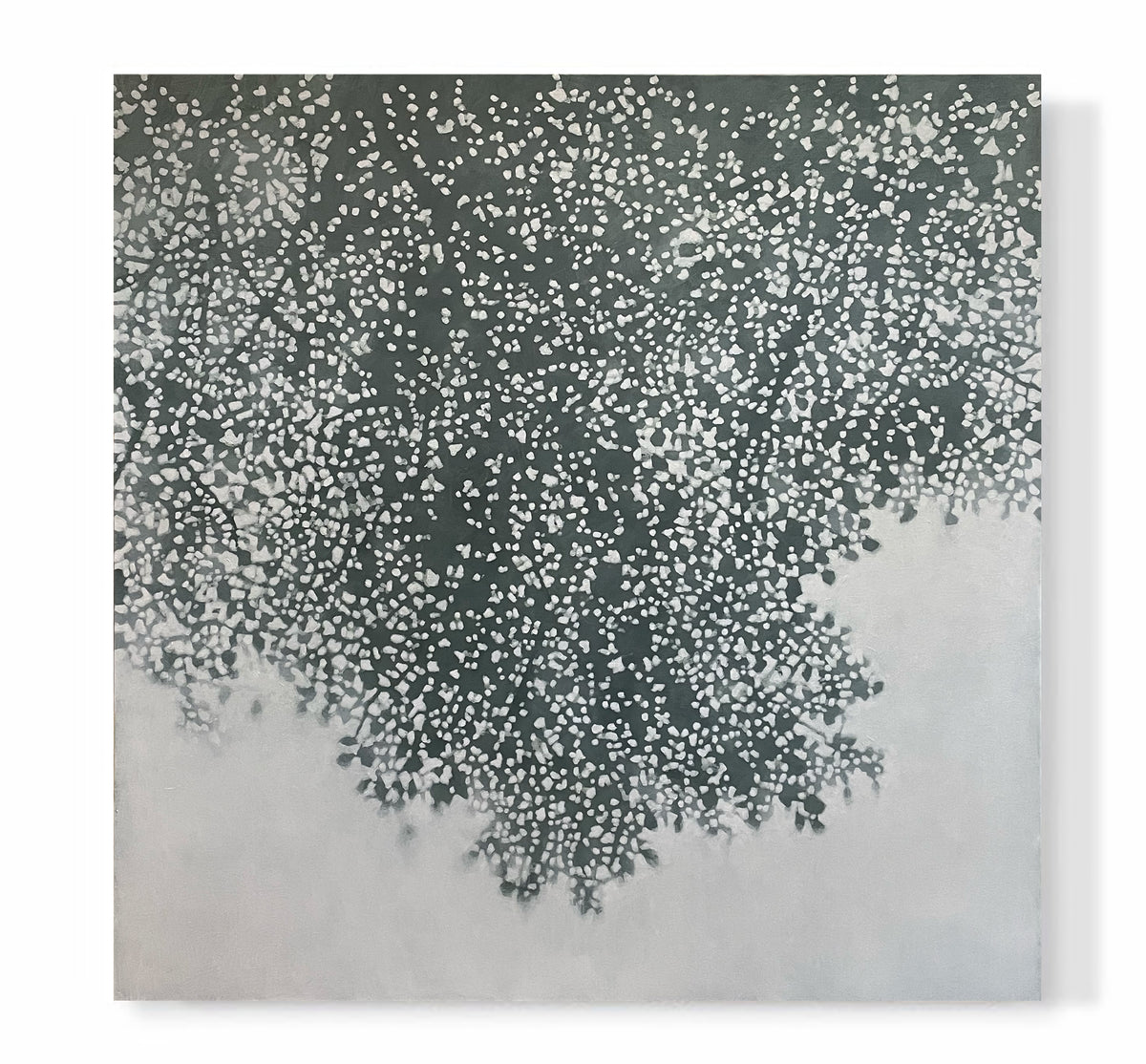 "Spring Mist"