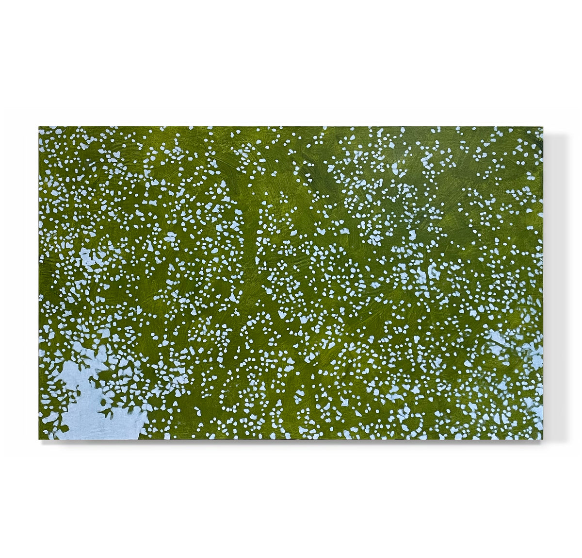 "Sunlit Canopy 02"