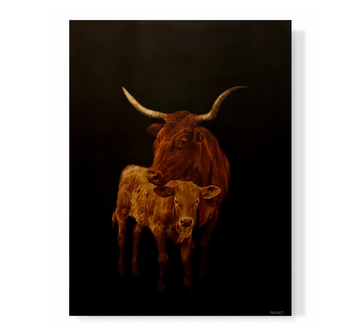 "Cows"