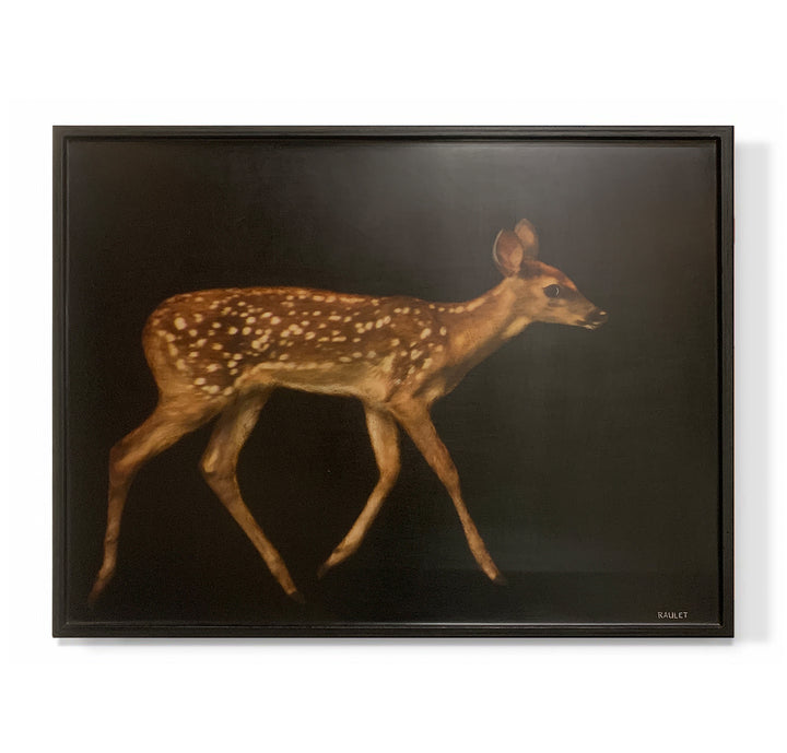 "Fawn"