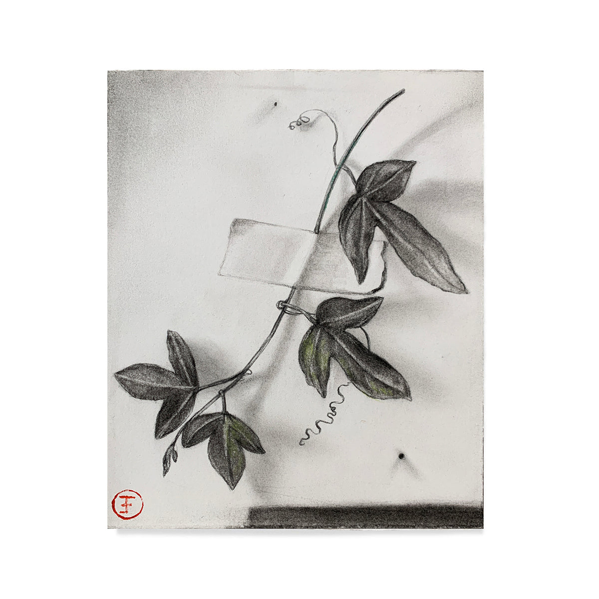 Small Botanical on Paper 7