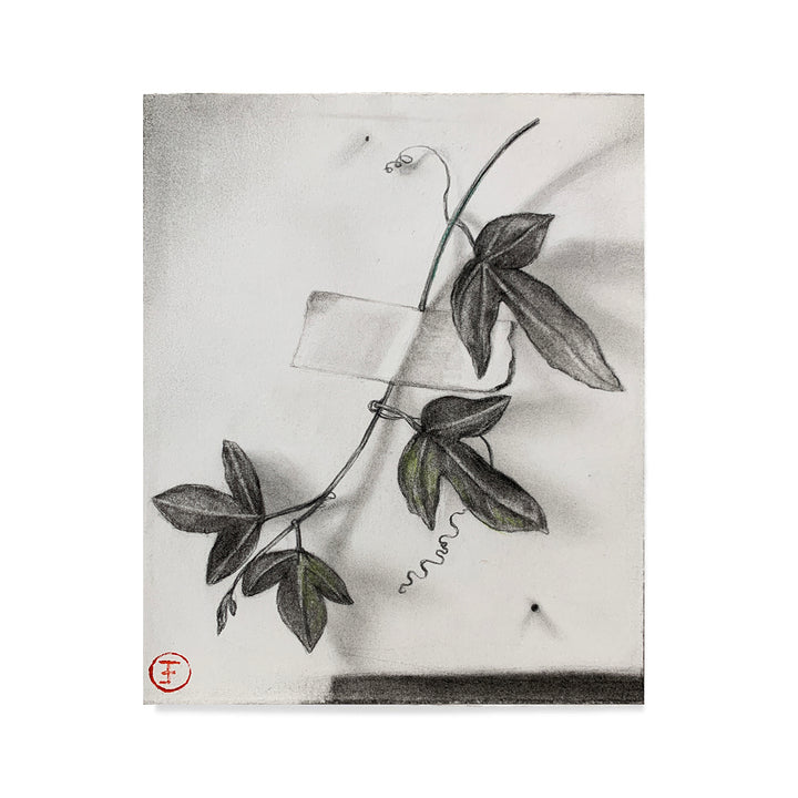 Small Botanical on Paper 7